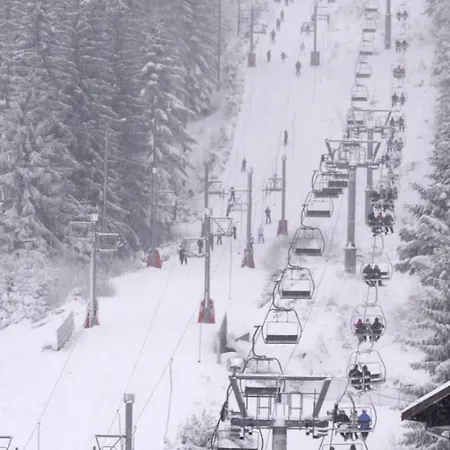 Lejlighed Warm Close To The Slopes And The Lake! Gérardmer