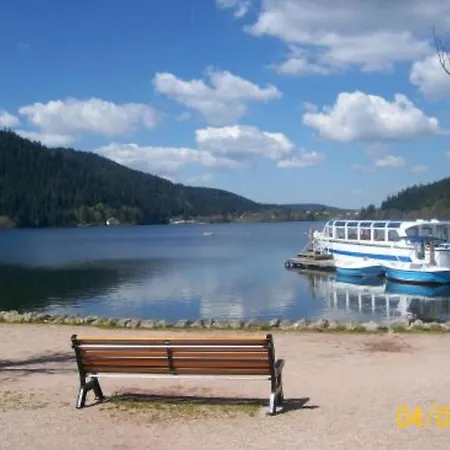 Lejlighed Warm Close To The Slopes And The Lake! Gérardmer