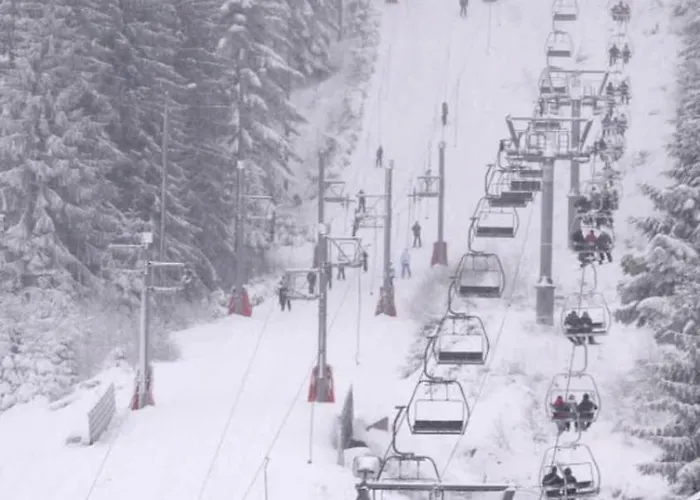 Apartment Warm Close To The Slopes And The Lake! Gerardmer